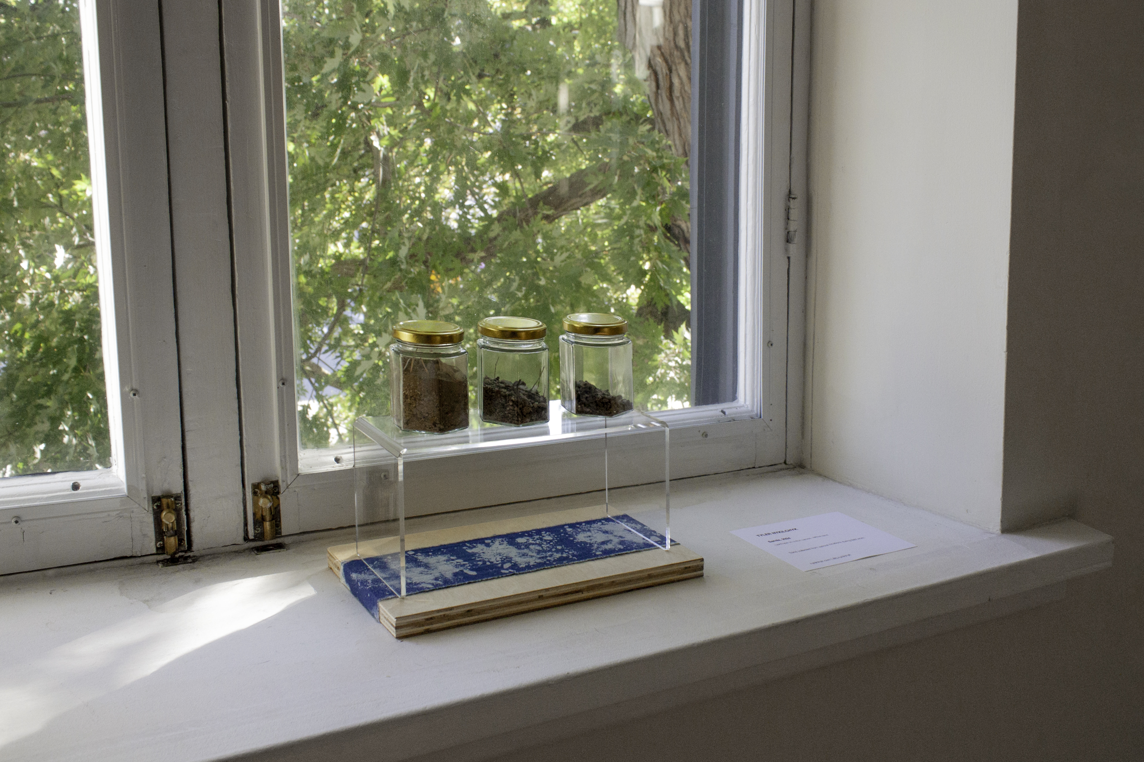 Sand in glass jars sitting over cyanotype prints on a window ledge